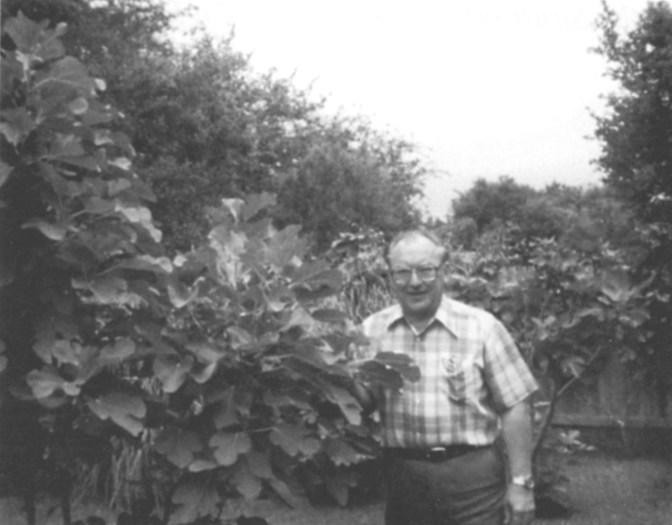 Donald Richard Lewis